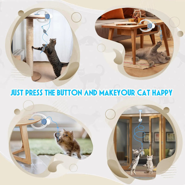 AutoRebound Cat Teaser Toy